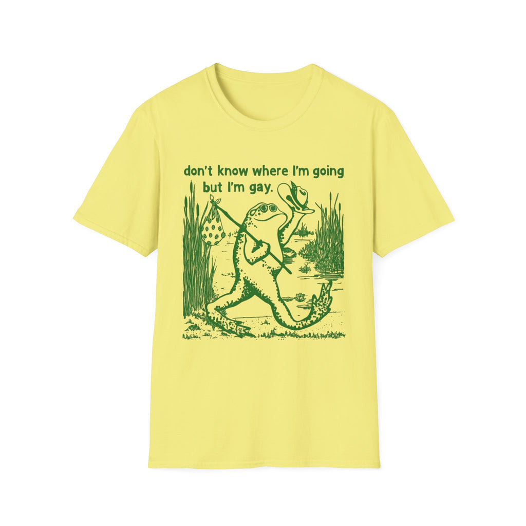 Unisex Softstyle T-Shirt
